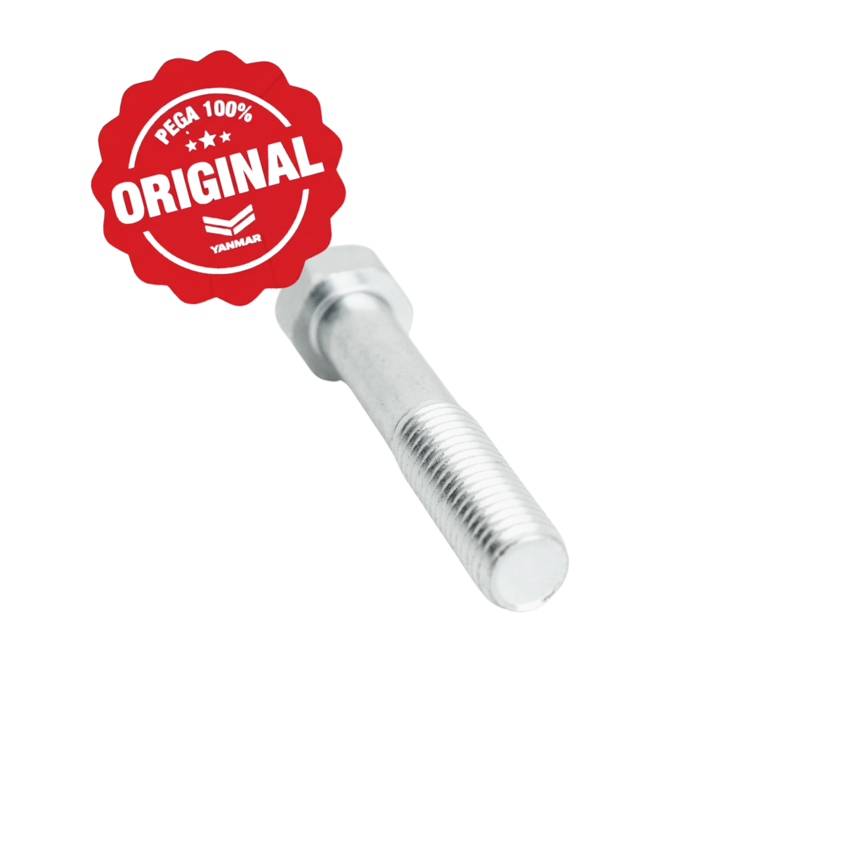 Parafuso M10X55 do Colar da Articulação Y...